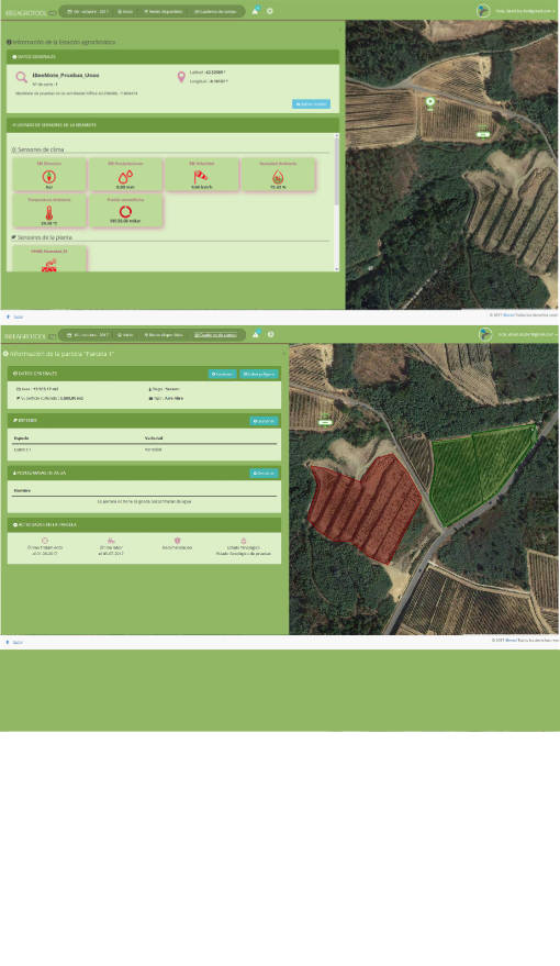 cuaderno de campo