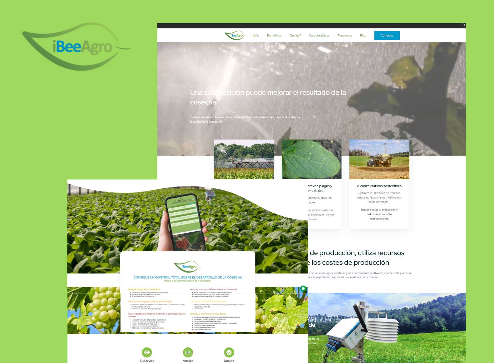 desarrollo_página_web_empresas_agrícolas