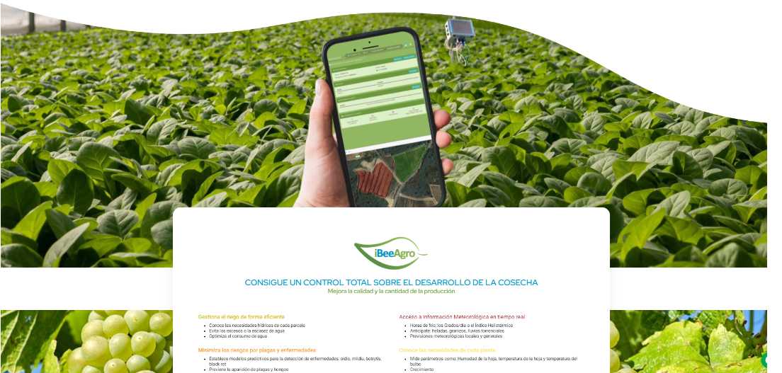 beneficios_sensores_monitorización_agricultura