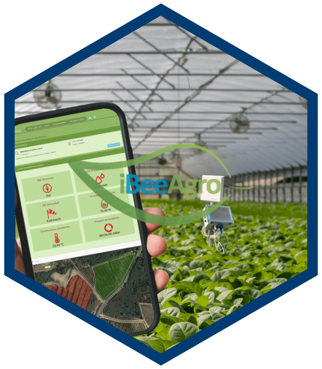 ibeeagro_software_de_gestión_agricultura